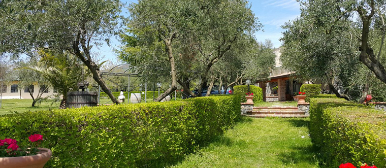 azienda olivicola Badevisco