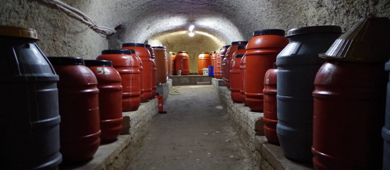 cantine dall'azienda olivicola Badevisco - olio extravergine